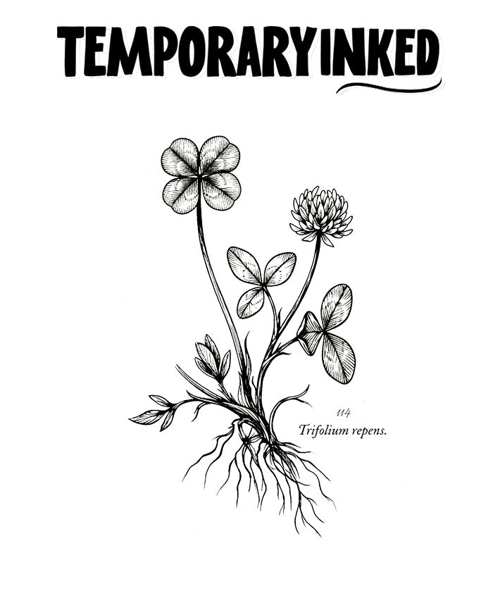 Botanical Floral Clover Tattoo