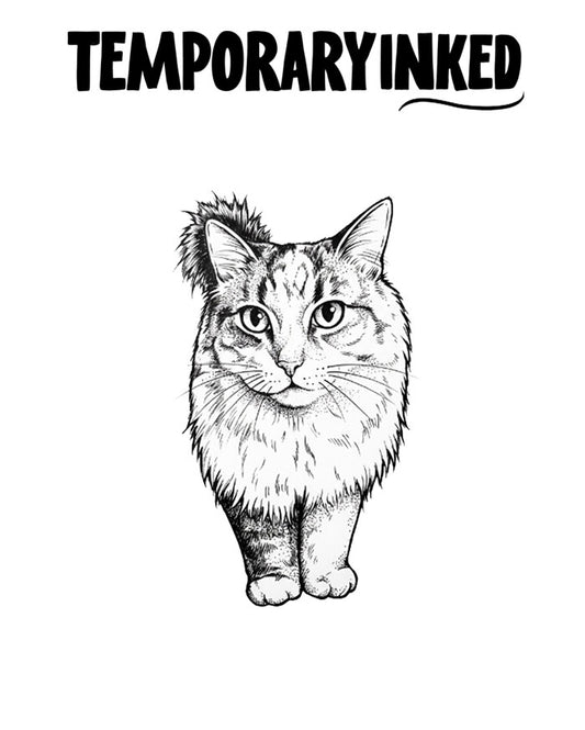 Cat Illustration Tattoo