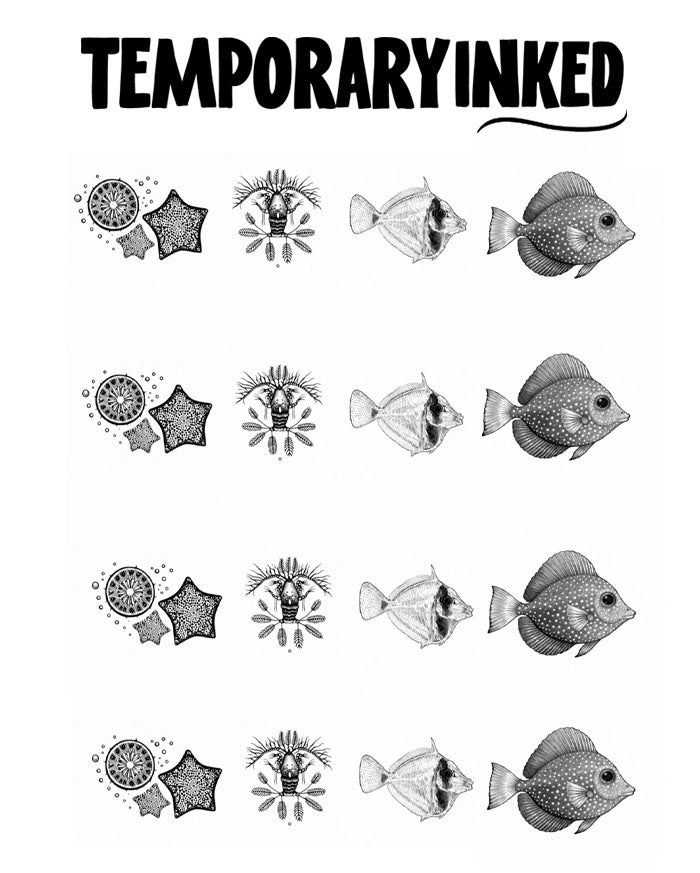 Marine Evolution Pack
