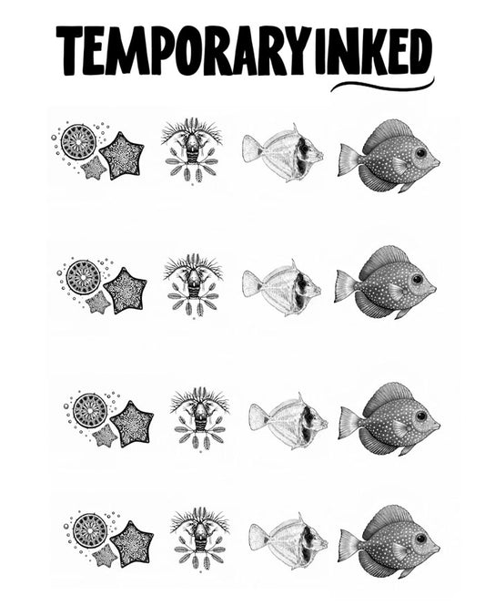 Marine Evolution Pack