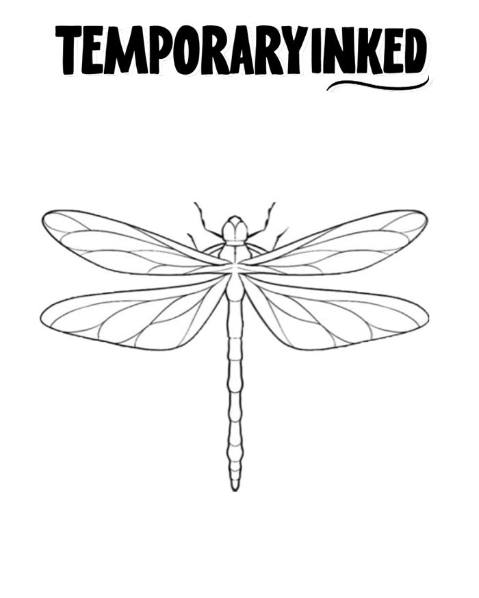 Minimal Dragonfly Tattoo