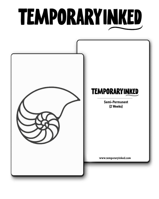 Nautilus Shell Minimal