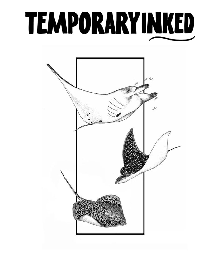 Ocean Gliders Tattoo