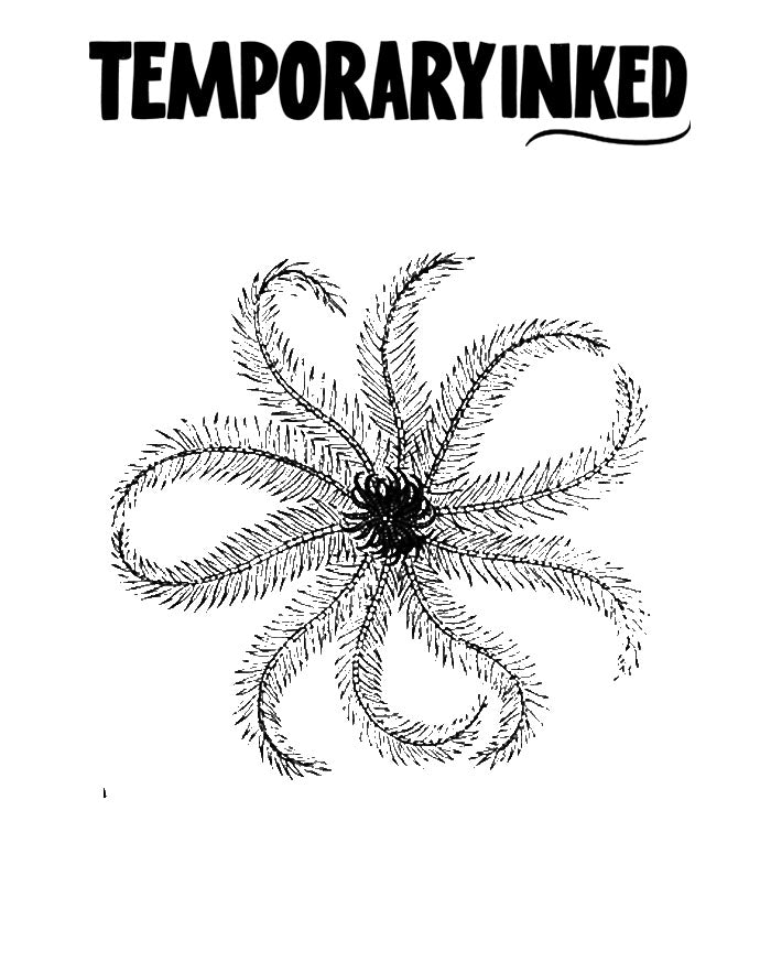 Small Fern Spiral Tattoo