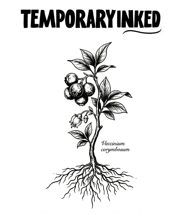 Wild Blueberry Plant Tattoo