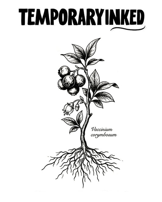 Wild Blueberry Plant Tattoo